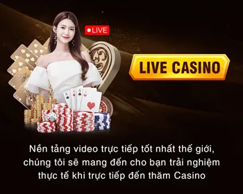 Cam kết trách nhiệm VK999