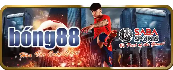 So sánh các sảnh thể thao và tỷ lệ kèo VK999